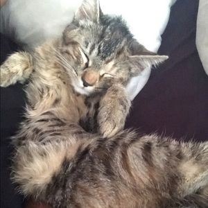 Meet your Posher, Mia